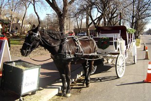 Carriage Ride
